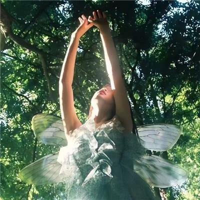 超自然事件之坠龙事件